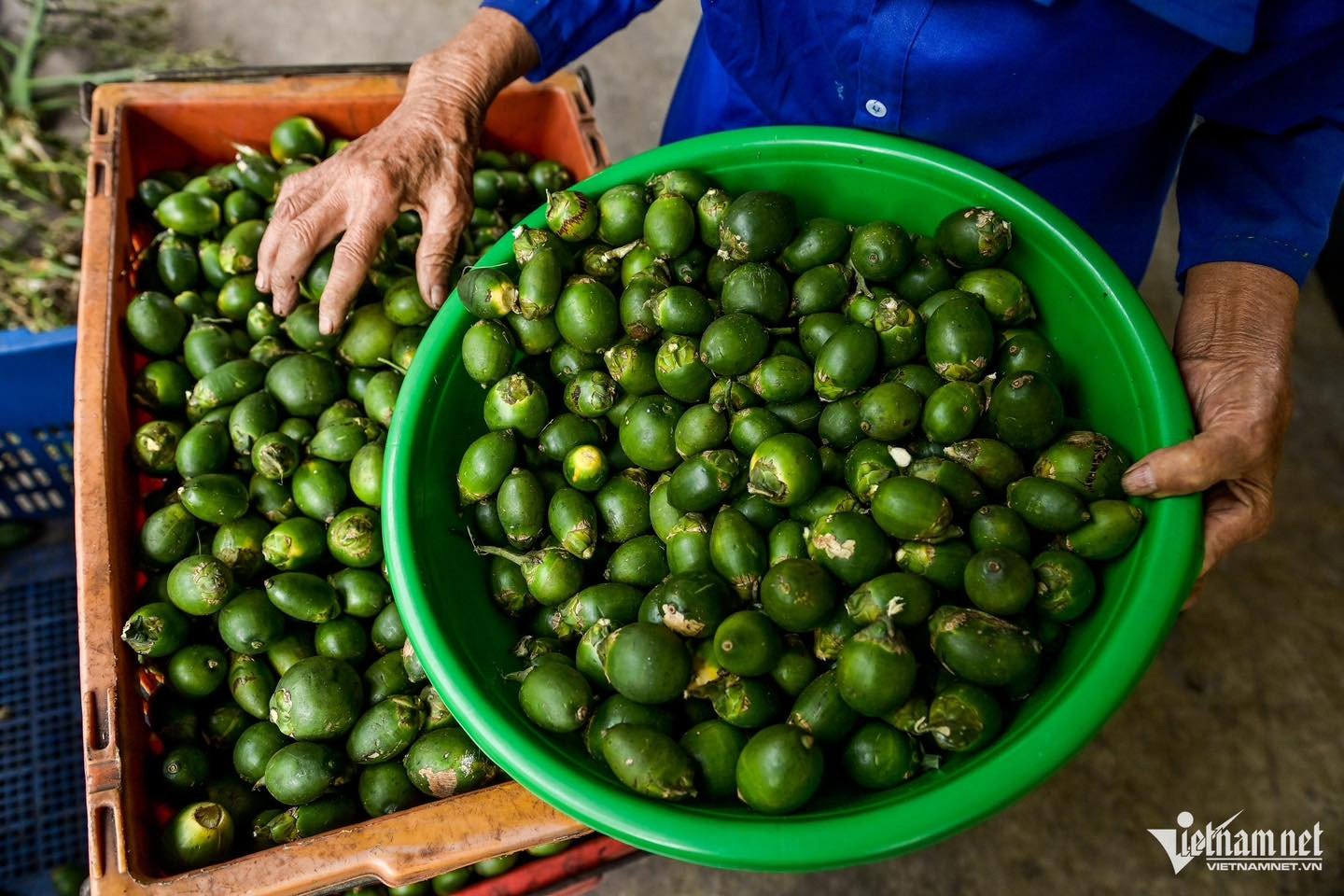 Trung Quốc mua cau giá rẻ làm kẹo, đưa ngược sang chợ Việt bán 3,3 triệu/kg-1