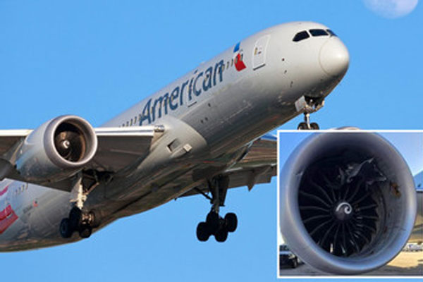 Máy bay hạ cánh khẩn cấp, hành khách tranh nhau phao trượt thoát thân-2