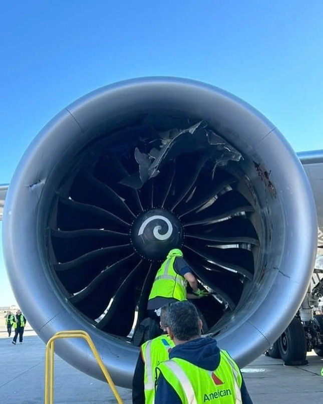 Máy bay bất ngờ ‘nuốt trọn’ container hàng hoá vào động cơ-1