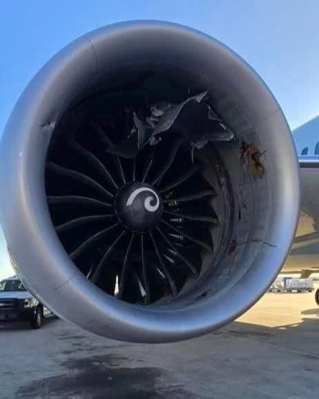 Máy bay bất ngờ ‘nuốt trọn’ container hàng hoá vào động cơ-2