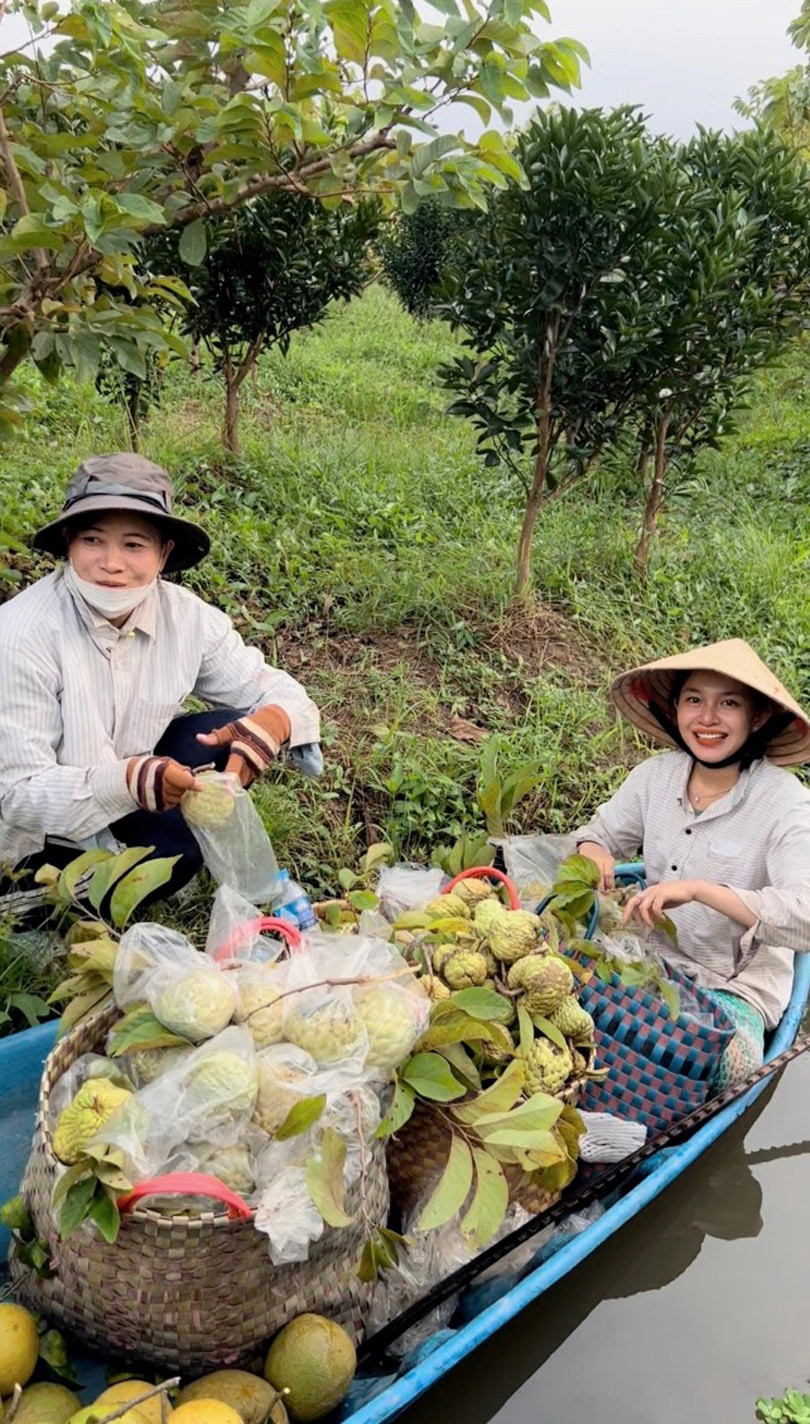 Nàng dâu Vĩnh Long thích ăn vú sữa, mẹ chồng mua luôn cây giống về trồng-4