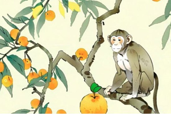 3 con giáp dễ khiến người khác dốc bầu tâm sự bởi họ biết cách lắng nghe và an ủi