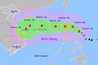 Bão Trami sẽ đạt cường độ cực đại khi tiến đến vùng biển quần đảo Hoàng Sa