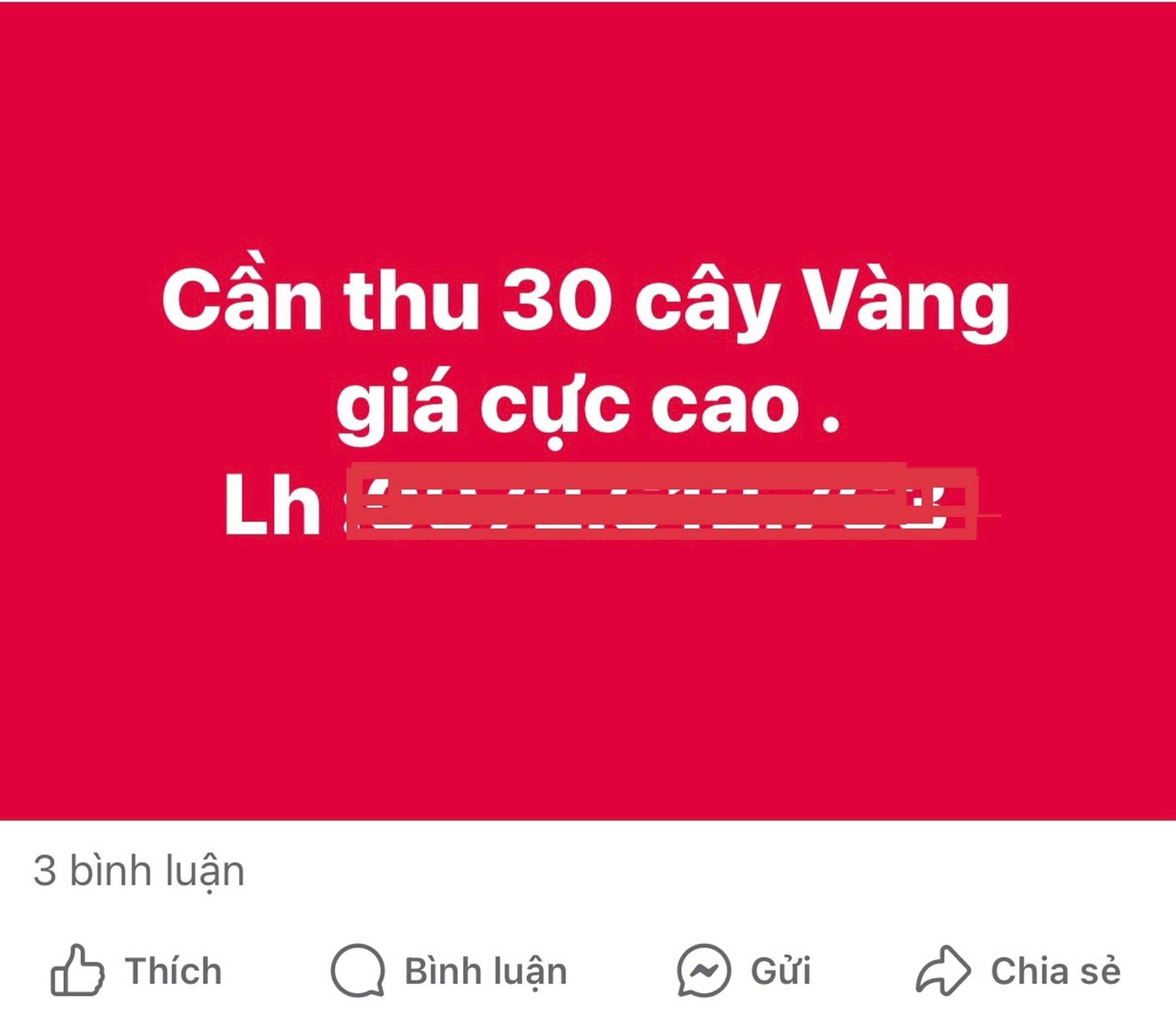 Xếp hàng dài chầu chực cả ngày chờ tiệm vàng mở cửa bất thình lình-4