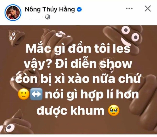 Nông Thúy Hằng thẳng thắn đáp trả khi bị công kích trên mạng xã hội-1