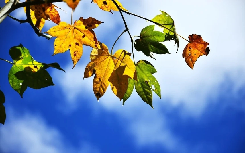 Lòng mẹ lắng lại để chấp nhận nỗi đau mất con-2