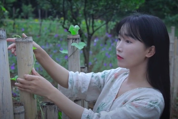 Tiên nữ đồng quê Lý Tử Thất trở lại và ý nghĩa của Xuân tằm hóa bướm-7