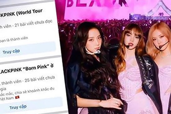 Bị lừa gần 7 tỷ đồng vì mua vé xem ca nhạc online