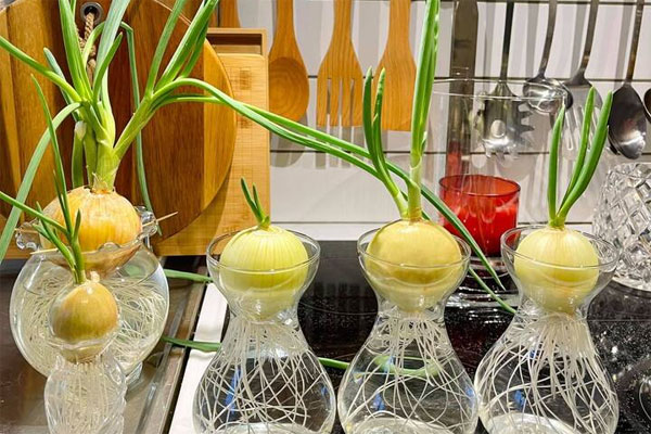 Đây mới là cách trang trí nhà đẹp mà tiết kiệm chi phí-5