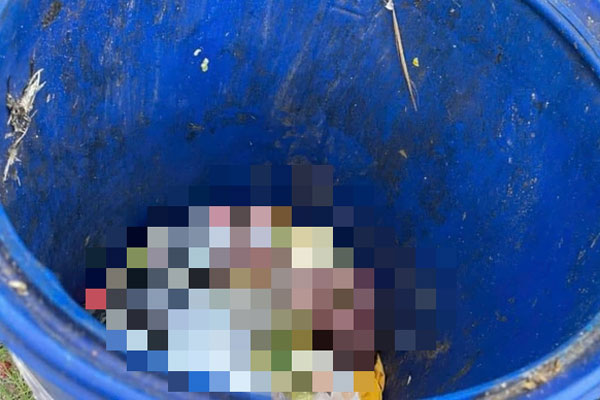 Phát hiện thi thể bé gái sơ sinh trong bãi đất trống ở TPHCM-2