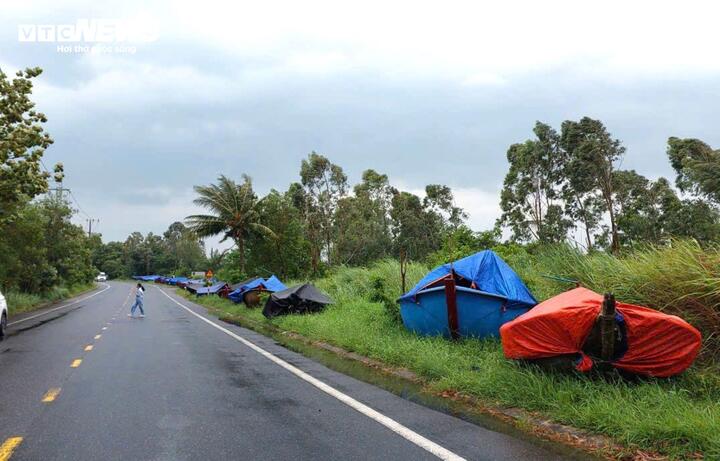 Bão Trami cách bờ 290 km, Đà Nẵng di dời dân khẩn cấp-1