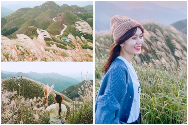 Đặc sản Sa Pa lọt top bánh ngọt nhiều lớp ngon nhất châu Á-2