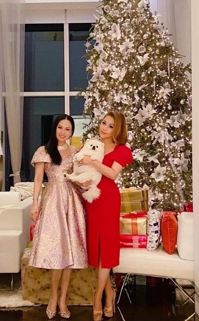 Ca sĩ Việt giàu nhất thế giới: Cuộc sống sung sướng, hôn nhân cực kỳ kín tiếng là ai?-7