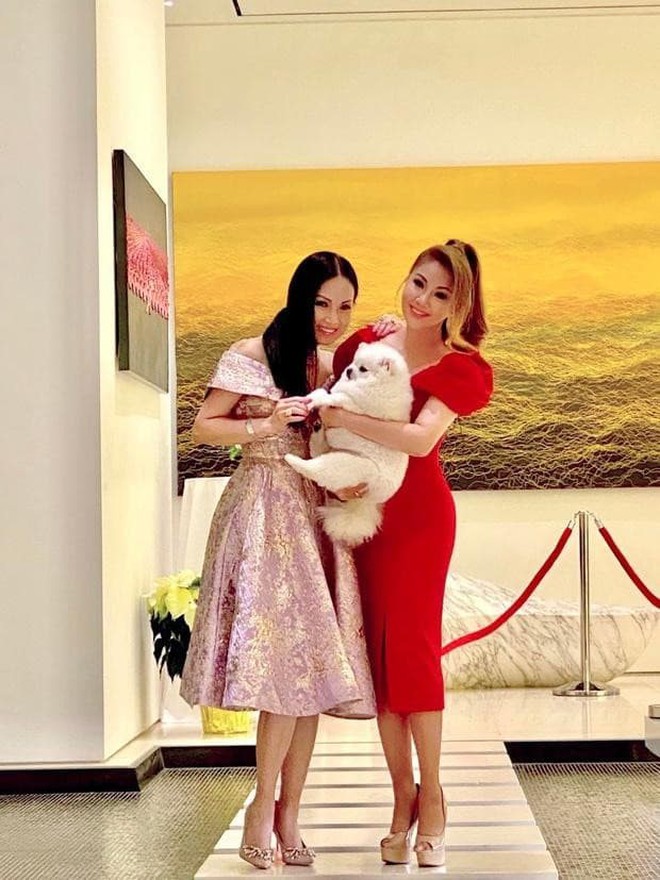 Ca sĩ Việt giàu nhất thế giới: Cuộc sống sung sướng, hôn nhân cực kỳ kín tiếng là ai?-8