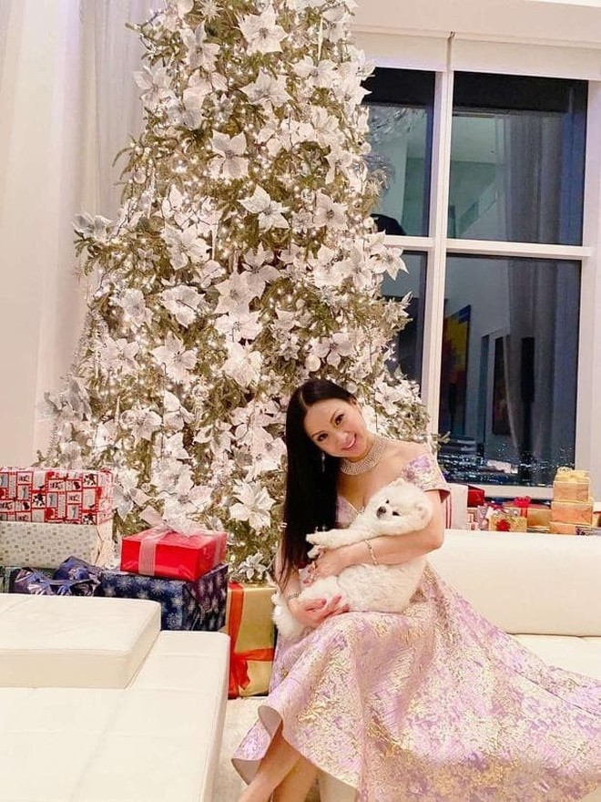 Ca sĩ Việt giàu nhất thế giới: Cuộc sống sung sướng, hôn nhân cực kỳ kín tiếng là ai?-9