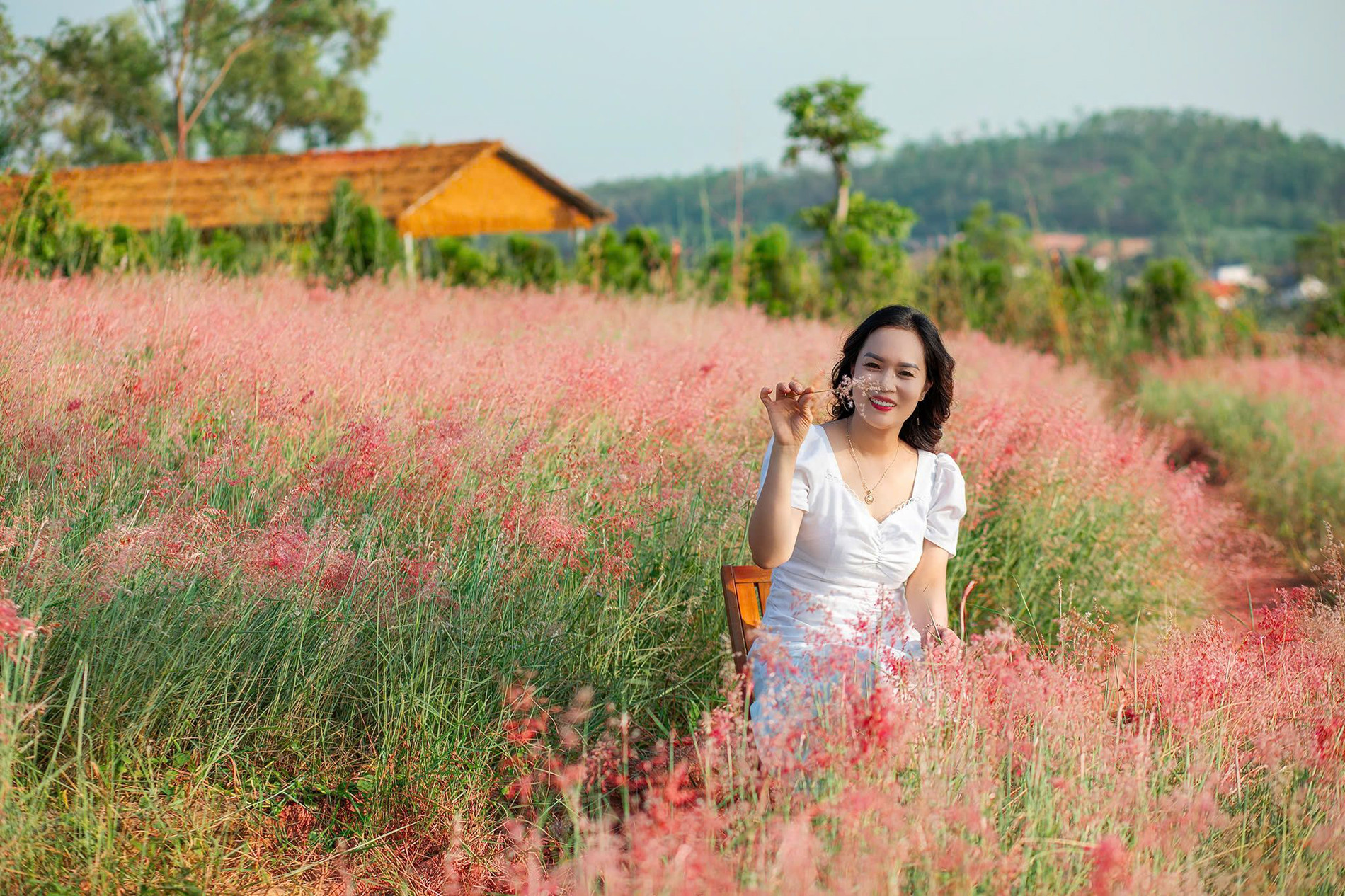 Đồi cỏ hồng cách Hà Nội khoảng 70km, đẹp như ở Đà Lạt, hút khách check-in-4