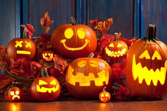 Tại sao bí ngô trở thành biểu tượng của Halloween?