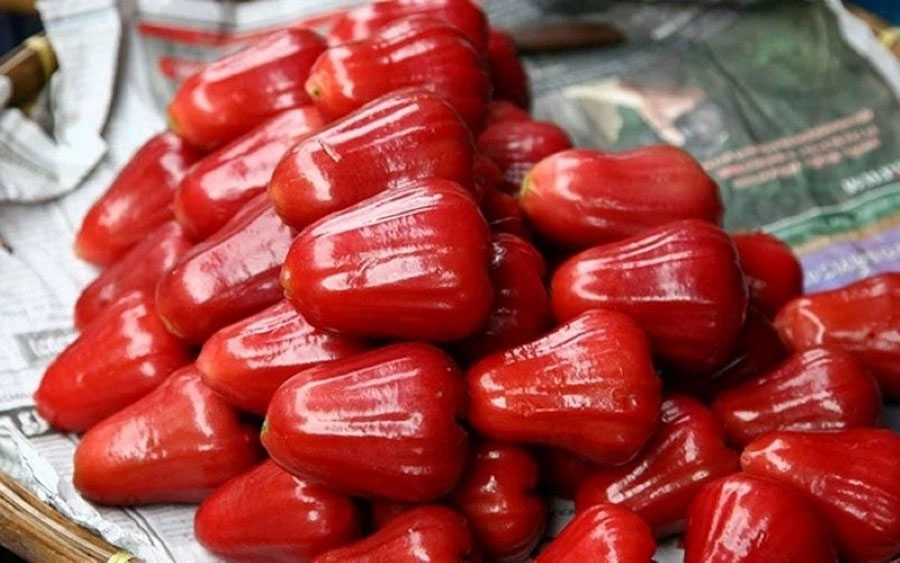 Loại quả ngọt thanh mát cực nhiều ở Việt Nam, vừa bổ xương vữa dưỡng thận-1