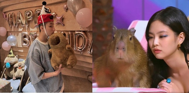 5 cách để bạn trở thành chiến thần ngoại giao được yêu mến như Capybara-3