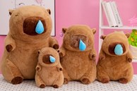 5 cách để bạn trở thành 'chiến thần ngoại giao' được yêu mến như Capybara