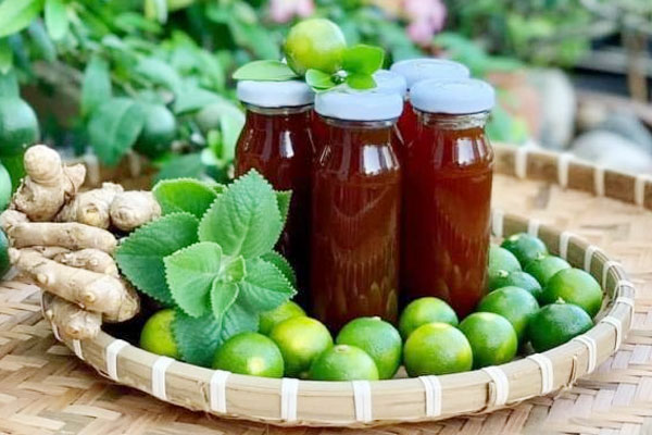 Việt Nam có loại cây hóa thạch”, mọc dại ở bờ bụi nhưng siêu bổ dưỡng-3