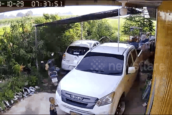 Clip: Kỳ lạ đàn cừu liên tục đi vòng quanh xe tải-2