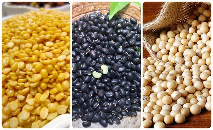 Đậu nành, đậu xanh, đậu đen có tác dụng gì?-1