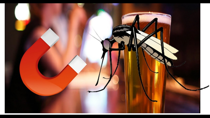 Mẹo diệt muỗi bằng bia-1