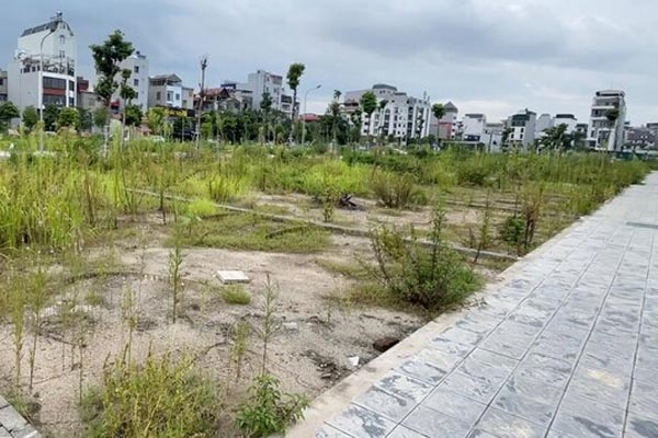 Nhiều khách săn mua, đất nền các tỉnh ấm trở lại-2