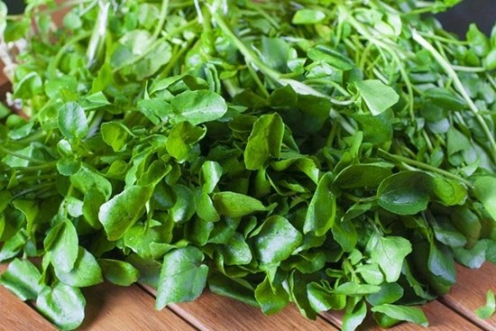 Loại rau rẻ bèo bán đầy chợ Việt được CDC Mỹ 