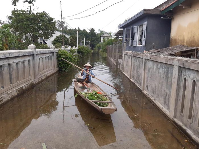 Mưa lớn ở Huế - Quảng Trị gây ngập úng, nguy cơ lũ chồng lũ-2