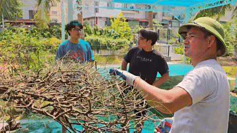 Cục trưởng Xuân Bắc khoe kỹ năng làm vườn, hai con nói 1 câu không ai ngờ-2