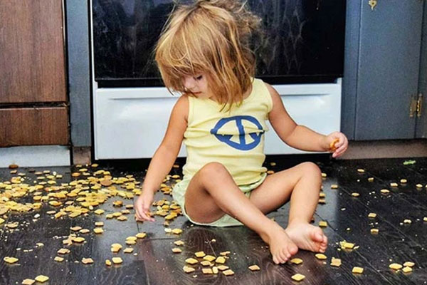 Cái cây vững vàng trong sương gió-1