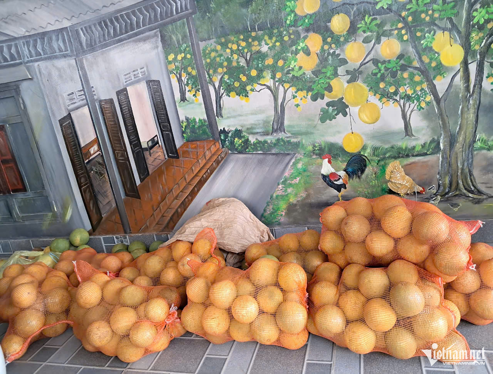 Loại quả đặc sản ở Phú Thọ vào thời điểm ngon nhất, cả huyện chia nhau 300 tỷ-2