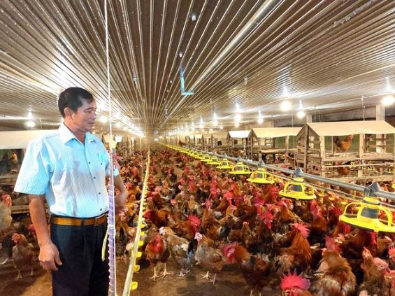 Ông nông dân kiếm 90 tỷ đồng/năm nhờ bẻ lái nuôi con mắn đẻ, hiền như cục đất-1