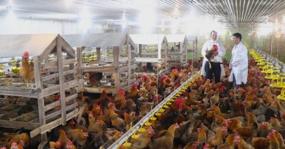 Ông nông dân kiếm 90 tỷ đồng/năm nhờ bẻ lái nuôi con mắn đẻ, hiền như cục đất-2