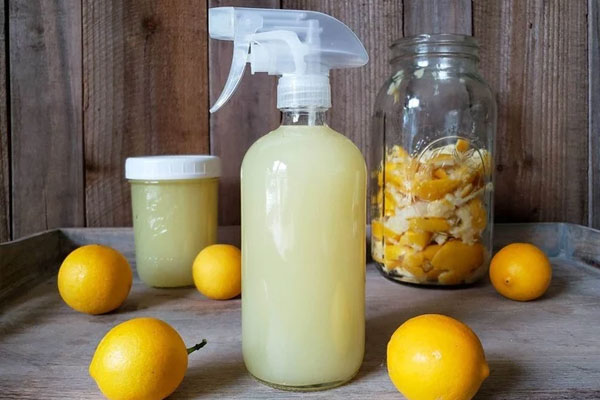 Tuyệt chiêu giúp cây cảnh tự tưới nước khi bạn vắng nhà-6