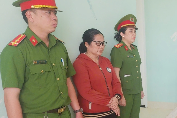 Bắt 2 cán bộ thuế ở Nam Định liên quan đến đường dây mua bán hoá đơn trăm tỷ-2