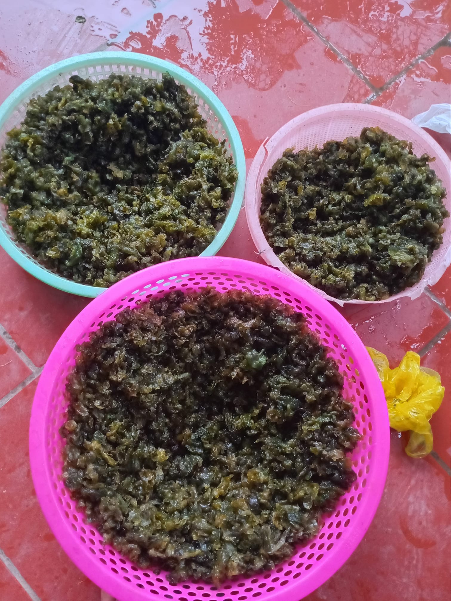 Đặc sản Ninh Bình mọc từ đá, chỉ có sau mưa rào, ăn vừa mát vừa giòn-2