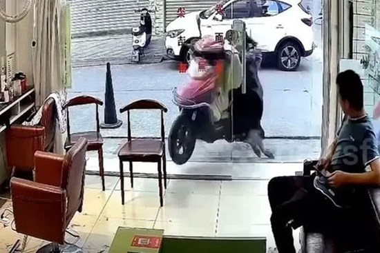 Đang dắt xe, người phụ nữ đâm vỡ cửa kính tiệm cắt tóc