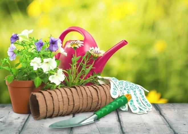 4 bí quyết khiến hoa nở rực rỡ mà nhà vườn luôn muốn giấu kín-1