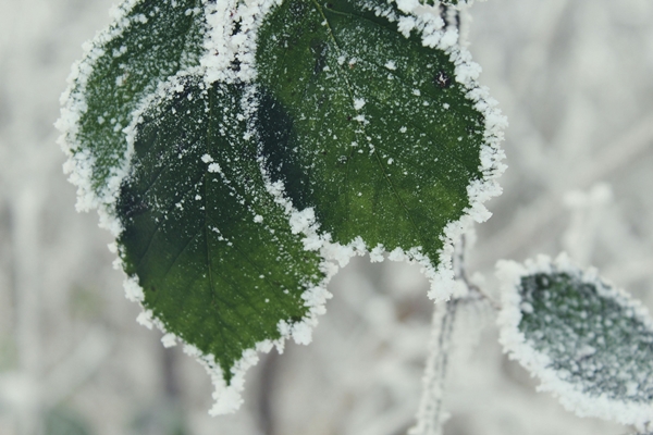 Những việc nên làm, kiêng kỵ trong ngày Lập đông và tiết Lập đông 2024-3