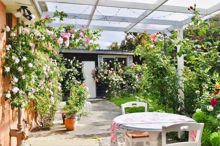 Người phụ nữ Việt phủ kín khu vườn ở Australia bằng cả trăm cây hoa hồng rực rỡ-1