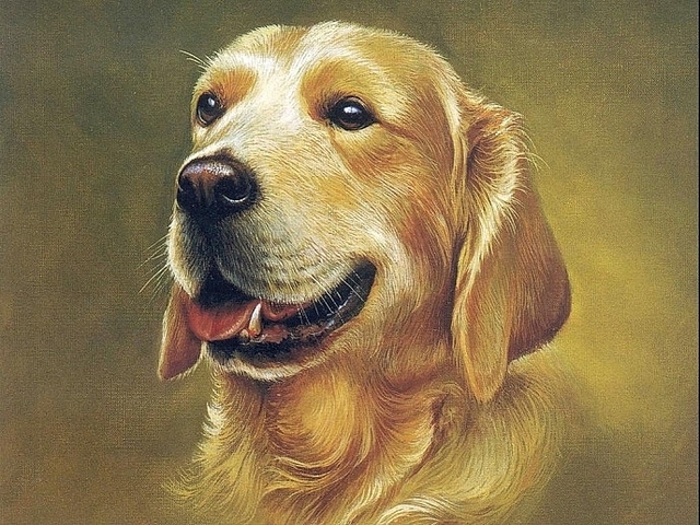 Được Thần Tài phù trợ, 3 con giáp này sẽ trả sạch nợ vào cuối năm-1