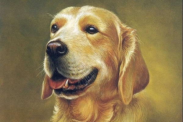 3 con giáp được cấp trên và đồng nghiệp tin tưởng, càng về cuối tuần tài lộc càng rực rỡ-4