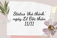 Status 'thả thính' hài hước cho Ngày lễ Độc thân 11/11