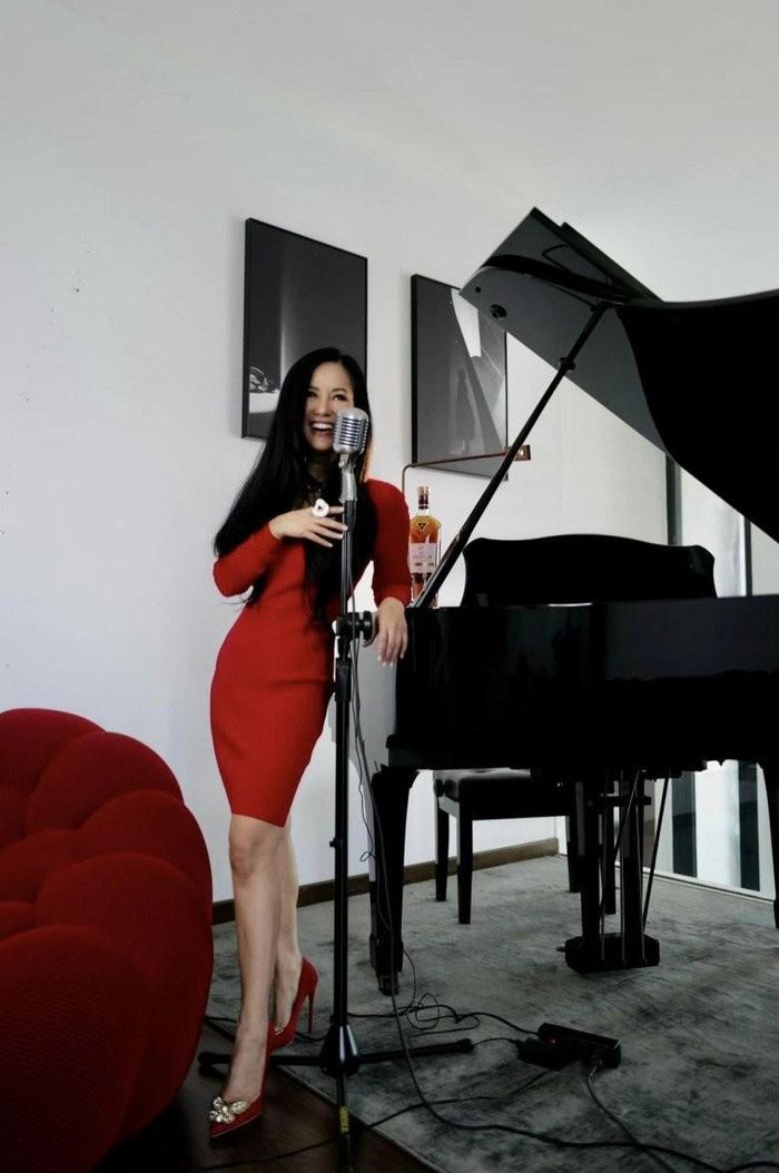 Vừa hé lộ mua tháp đôi cho 2 con song sinh, Diva Hồng Nhung lập tức được cộng đồng truy lùng về số căn nhà đẳng cấp đang sở hữu-11