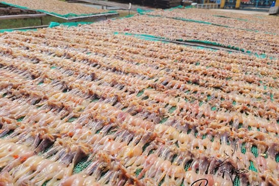 Món 'vũ nữ chân dài' ở An Giang đắt ngang tôm hùm, khách ăn sạch cả xương