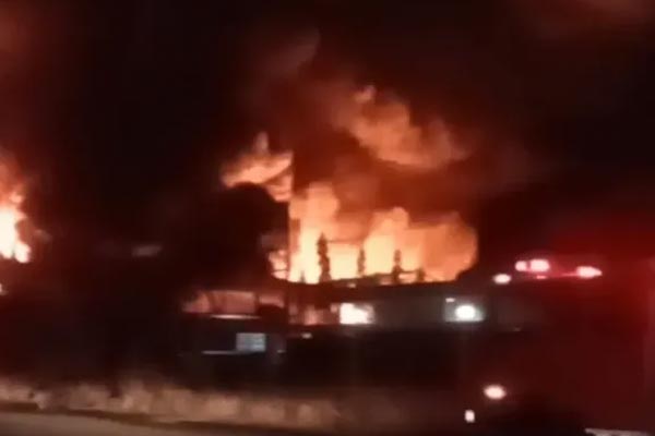 Trạm sạc tinh thần của cô gái Long An hút giới trẻ đến giải tỏa cảm xúc-6