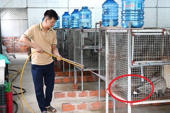 Anh nông dân lãi 500 triệu đồng nhờ 